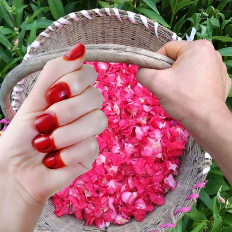 Nail Art Red - 40g Henna Nail Dye Powder For